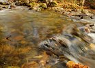 The Brook